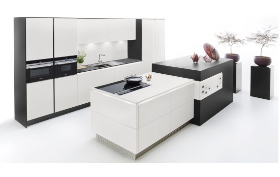 FENIX 4901 